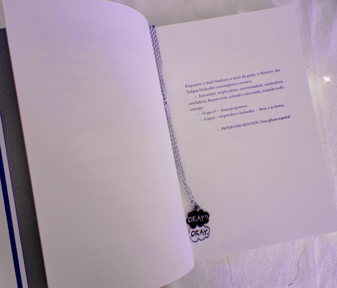 Resumo do livro A Culpa é das Estrelas – Escritora de Sucesso