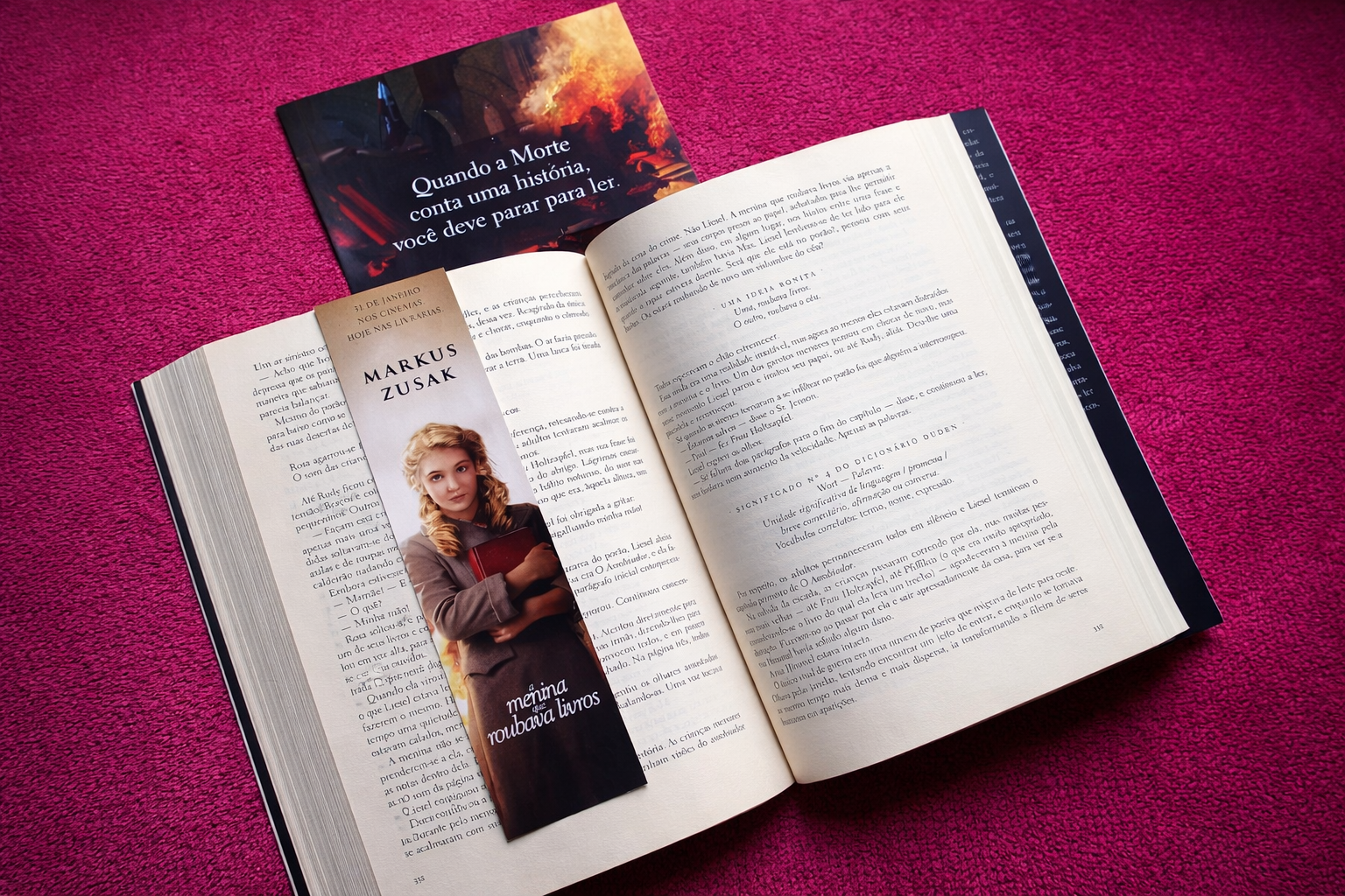 Resumo de A Menina que Roubava Livros