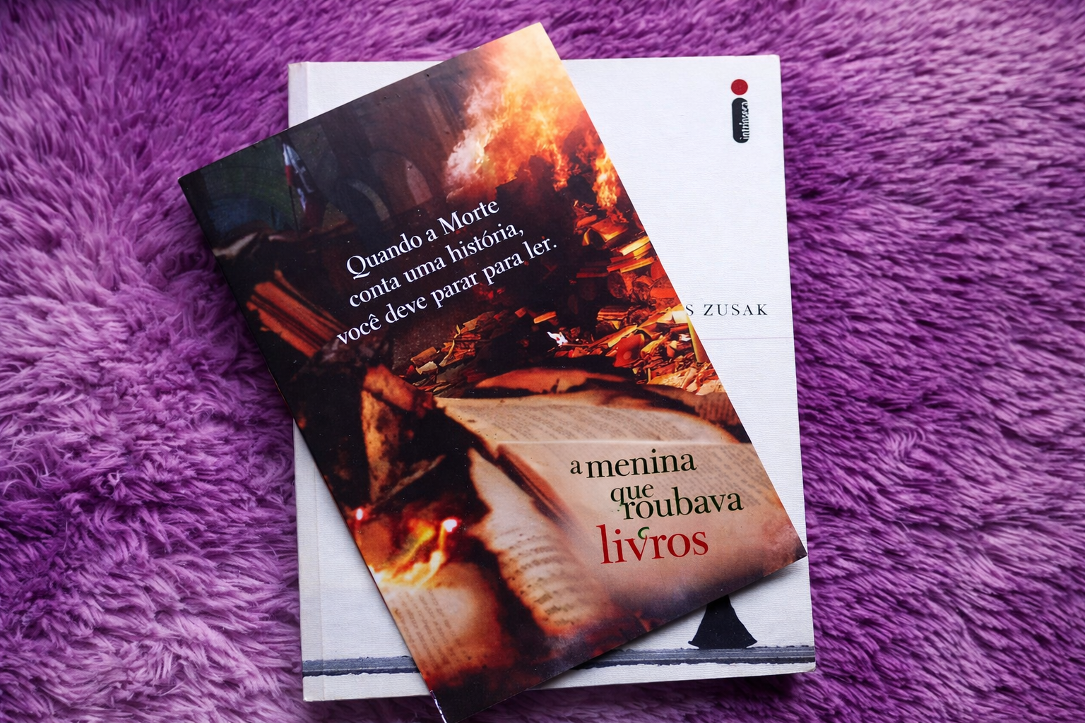 Como termina A Menina que Roubava Livros