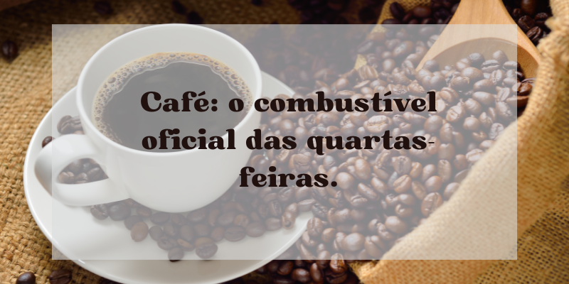 frases para quarta-feira