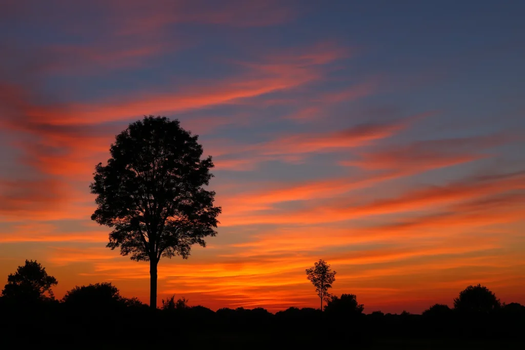 Mensagem de boa noite para alguém especial